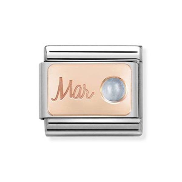 Nomination Composable Classic March 9 ct Rose & Steel Charm