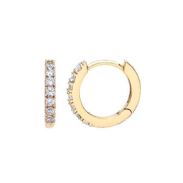 Estella Bartlett Gold-Plated Cubic Zirconia Hoop Earrings