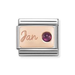 Nomination Composable Classic January 9 ct Rose & Steel Charm