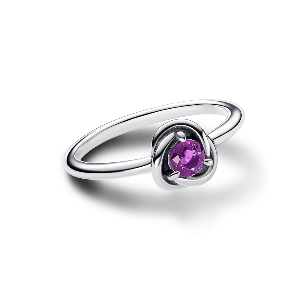 Pandora February Birthstone Eternity Circle Ring - 2 Pandora February Birthstone Eternity Circle Ring - 2